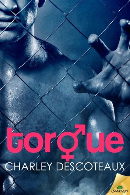 Torque300